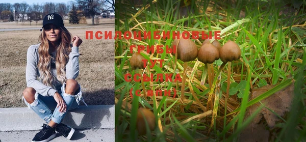 прущие крисы Арсеньев