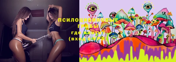 прущие крисы Арсеньев